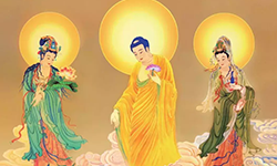 Featured image of post 彼岸花开
