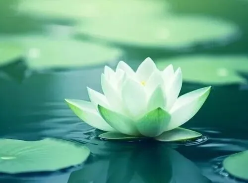【戒香普熏】修行十种戒行，成就无上菩提！