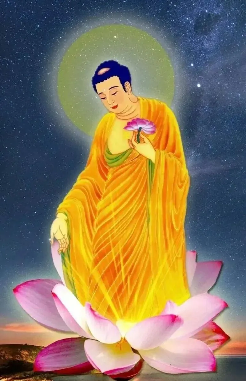 【彼岸花开】《净土警语》：拔除爱桩生净土！