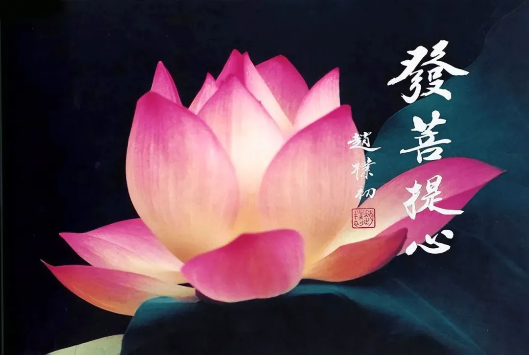 【彼岸花开】《庐山莲宗宝鉴》：求生净土，须发菩提心！