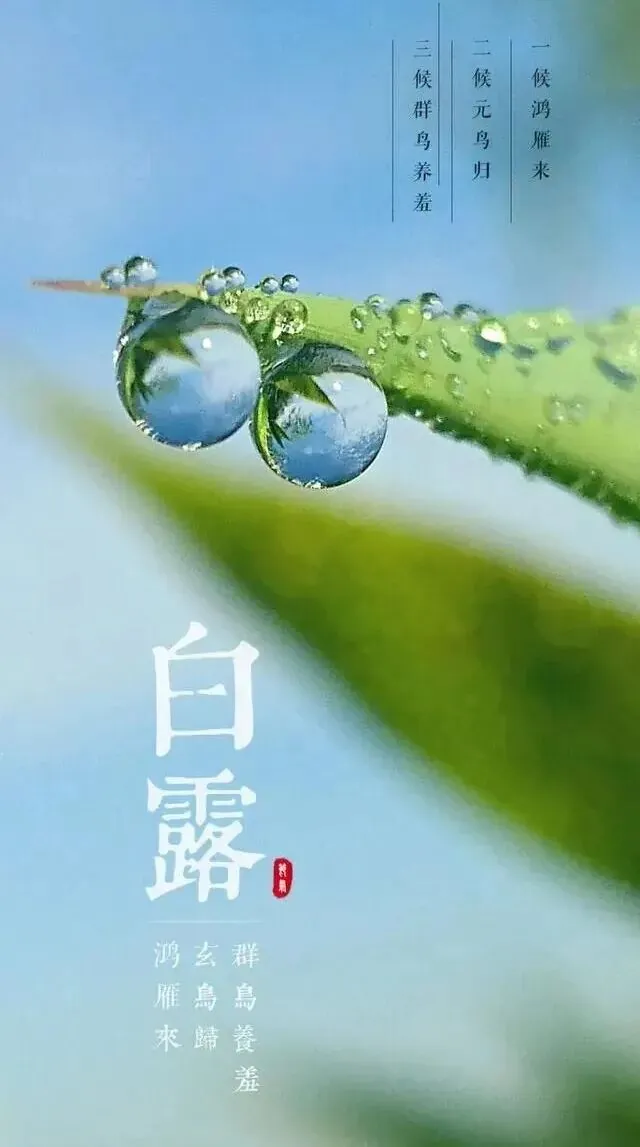 【彼岸花开】白露劝念佛：只消四字行将去，果满功圆归故乡！
