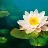 【人生嘉言】《格言别录》：吉祥人生第一法！