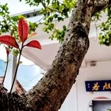 【人生嘉言】《格言联璧》：何谓“至行”？何谓“大人”？