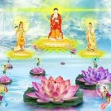 【佛佑中华 国泰民安】白云禅师：望江南 娑婆苦