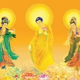 【佛佑中华 国泰民安】莲邦消息：何不早念弥陀，免此娑婆苦？