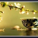 佛经中的人生智慧：前行七步，却行七步