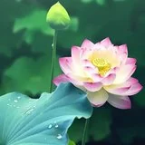 【佛经故事】人生真正的快乐！