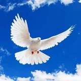 【佛经故事】如何得到真正的自由？