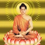 【佛经语录】《华严经》中有关回向的经文锦集之六：为欲广度一切众生！