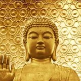 【佛经语录】离嗔恚的四种殊胜果报