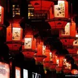 元宵佳节我们一起燃灯供佛！