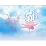 友有四品，不可不知！