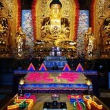 【孝亲报恩专题法语之十】祖师开示：孝顺二事，我们做到了吗？