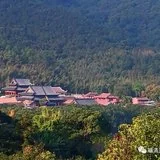 【学佛行仪之入寺院之十三】寺院的布局一般是怎样的？