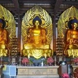【学佛行仪之入寺院二十八】大雄宝殿的三尊佛您认识吗？（三）