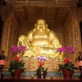 【学佛行仪之敬佛第一】佛前供花需要注意什么？