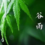 【彼岸花开】今日谷雨劝念佛：谷雨持名似疾雷，一声佛号扫尘埃！