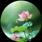 【彼岸花开】印光大师：怎样做才是真念佛人?