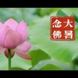 【彼岸花开】大暑流金似火攻，毫无暖气到心中！