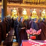 【彼岸花开】彻悟大师：如此念佛，一切境缘皆不退转！
