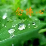 【彼岸花开】憨山大师：念佛心不切有六个原因！