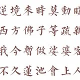 【彼岸花开】我今暂作娑婆客，不久莲池会上人！（附：视频法语）