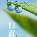 【彼岸花开】白露劝念佛：只消四字行将去，果满功圆归故乡！