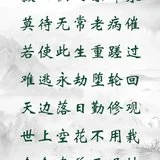 【彼岸花开】莲隐禅师：念念直前无退怯，宝池坐看一莲开！