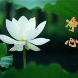 【念佛法语】憨山大师：修行净业，必以净心为本！