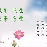 Featured image of post 【戒杀放生】莲池大师：遇到这七种场合，请勿杀生！（二）