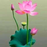 【戒香普熏】元照律师：立三誓，受三戒，证三德！