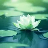 【戒香普熏】断离间语，得四种果报！