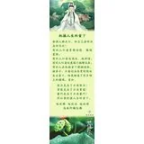 把握人生的当下