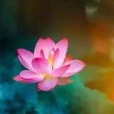 【持戒法语】一切胜妙功德，皆因持戒而得！