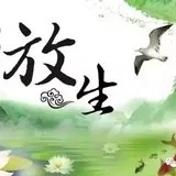 Featured image of post 【放生须知】懂得这一放生须知，功德胜于普通放生百倍！