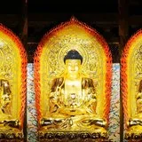 【新春法语专题】礼佛的殊胜功德