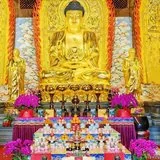 【新春法语专题】礼现在贤劫千佛洪名功德利益