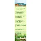 烦恼和痛苦来至于何处？