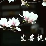 【甘露法语】净界法师：发菩提心，就是超越时空！