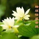 【甘露法语】净界法师：转烦恼成菩提！