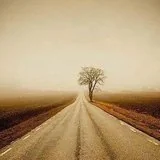 【甘露法语】净界法师：这条路，我们迟早要走！