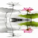 【甘露法语】法藏法师：如何拥有无忧人生？