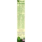 端午节——佛子怀古共发愿