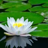 【般若明灯】法藏法师：一切事业由修自己做起！