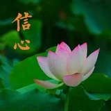 【般若明灯】法藏法师：修行三要之“信心”（二）