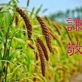 【般若明灯】法藏法师：居弟子位、执弟子礼、具弟子相！