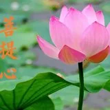 【般若明灯】法藏法师：护教、利生是成就菩提心的两大核心！