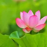 【般若明灯】法藏法师：生活中时时以佛法省察！