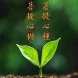 【菩提愿海】植树节，播菩提心种，植菩提心树！