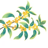 Featured image of post 【节日专题法语】中秋佳节，恭迎月光菩萨圣诞（附：供月仪式）